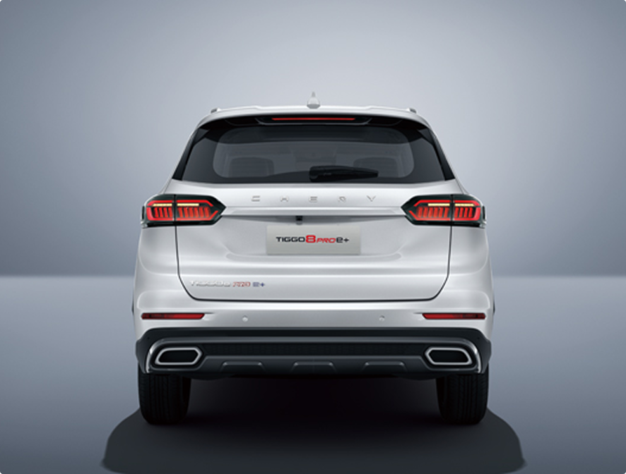 ЗАДНЯЯ ЧАСТЬ